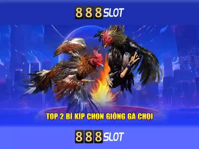 Giới thiệu về 888slot: Nền tảng casino trực tuyến Go88