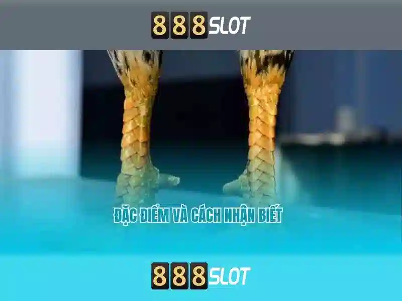 Go88
