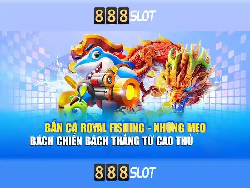 Khuyến mãi, thanh toán và hỗ trợ