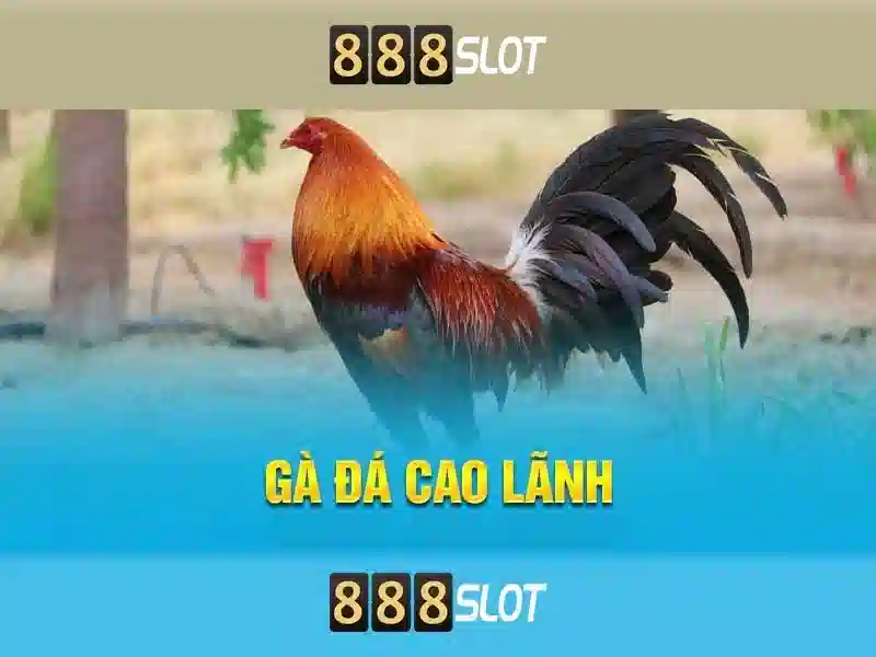 Giới thiệu về 888slot Giới thiệu về 888slot