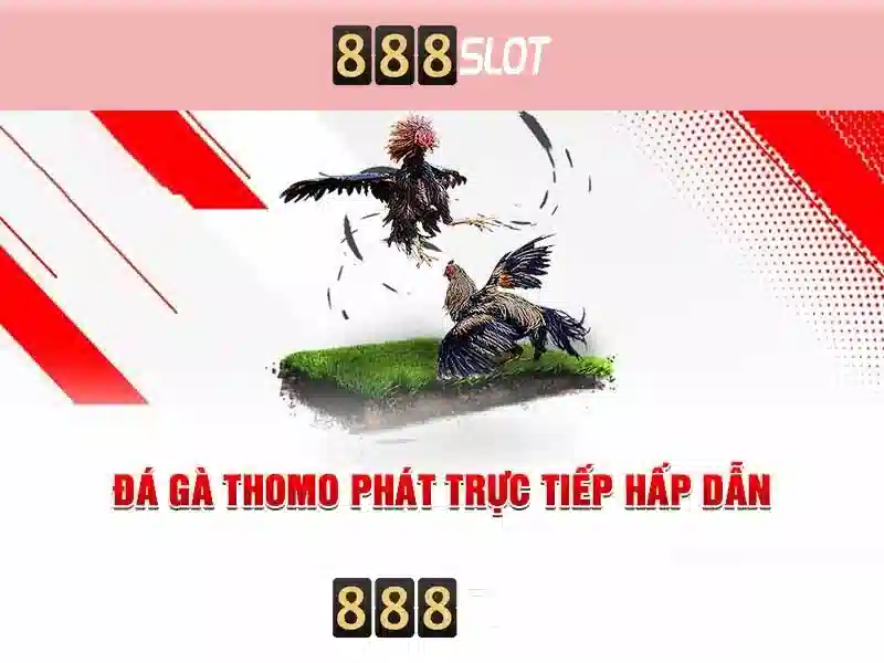 Cách tham gia và nhận khuyến mãi