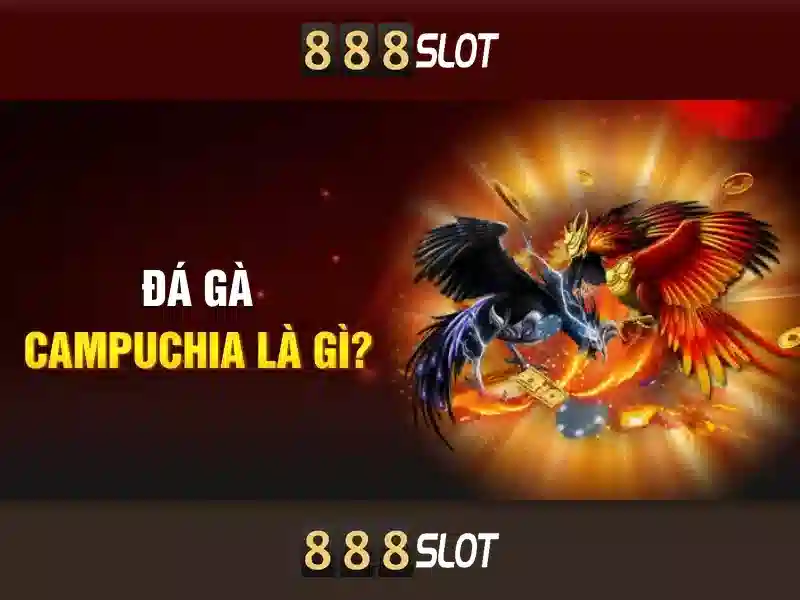 Giới thiệu về 888slot