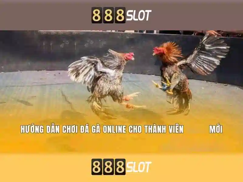 Khuyến mãi và bảo mật Khuyến mãi và bảo mật