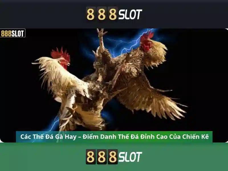 An toàn và thanh toán An toàn và thanh toán