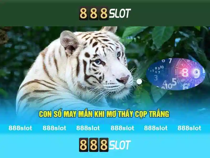 888slot - Nha cai online va trai nghiem cho nguoi choi 1 Đăng Nhập