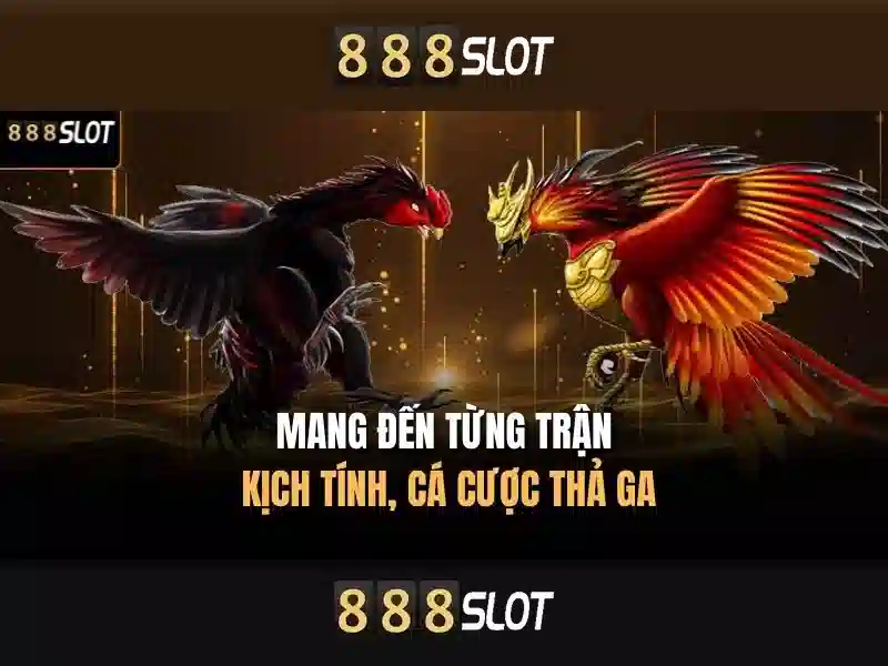 Soi kèo hiệp 1