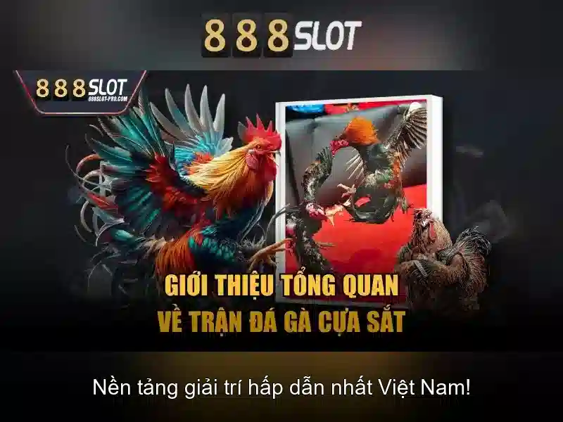 Khuyến mãi và trò chơi đa dạng Khuyến mãi và trò chơi đa dạng
