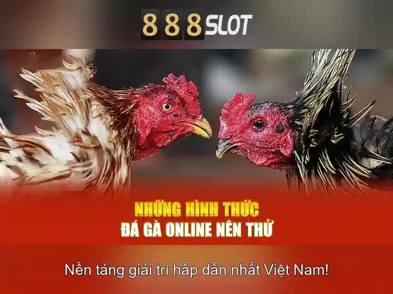 Tính năng nổi bật