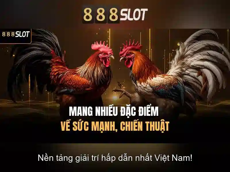 An toàn và thanh toán An toàn và thanh toán
