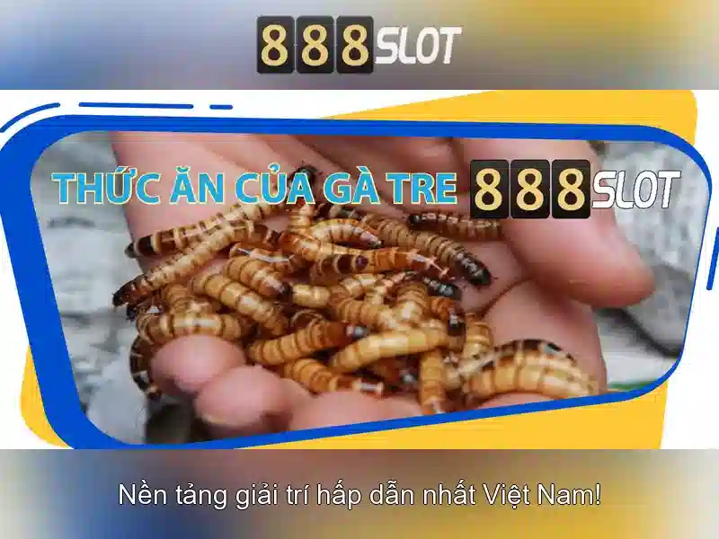 Ưu thế và sức cạnh tranh của https 888slots com