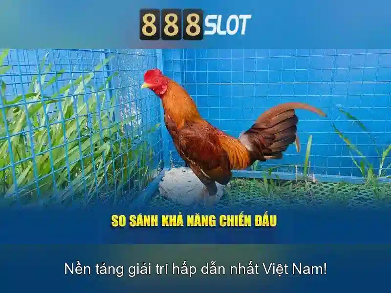 An toàn và thanh toán An toàn và thanh toán