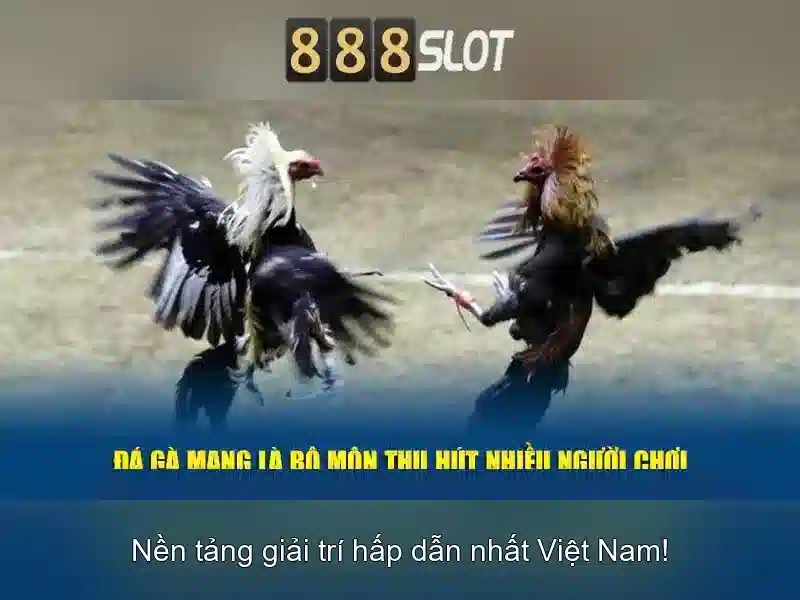 Chào mừng đến 888slot: Nền tảng đánh bạc trực tuyến hàng đầu Go88